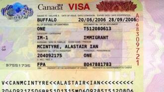 turkey tourist visa requirements for nigeria