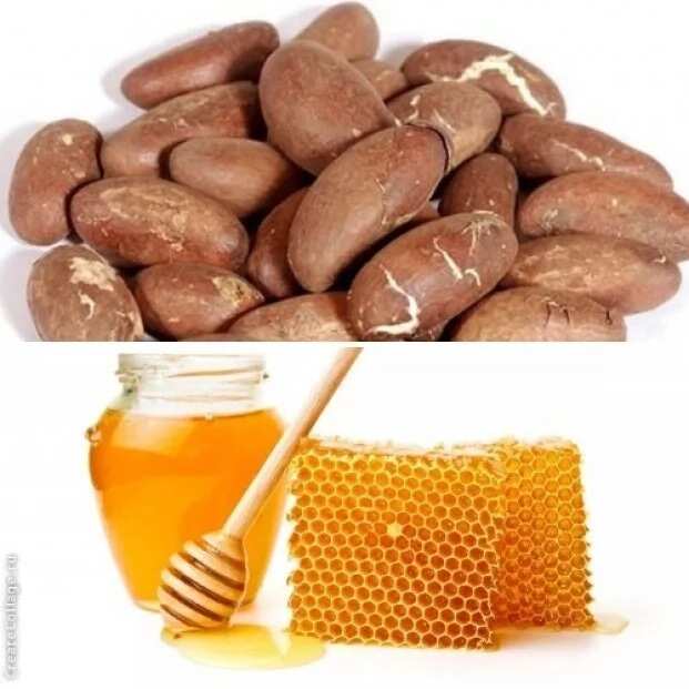 Cola honey. Bitter Honey.