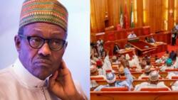 NASS to override President Buhari on Peace Corps bill