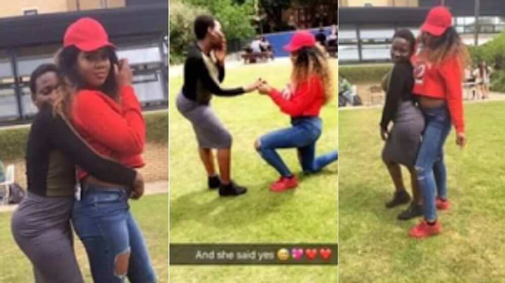 WAWU! Nigerian girl goes on her knees to propose to her girlfriend (photos)