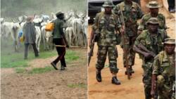 Soldiers ‘mistakenly’ kill vigilante member, allegedly free killer herdsmen in Edo