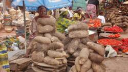 Ghanaian Government Blames Influx of Nigerians, Others for Rising Food Prices in the Country Warns Farmers