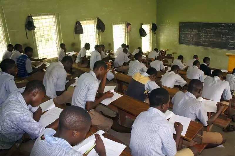 The students write an exam