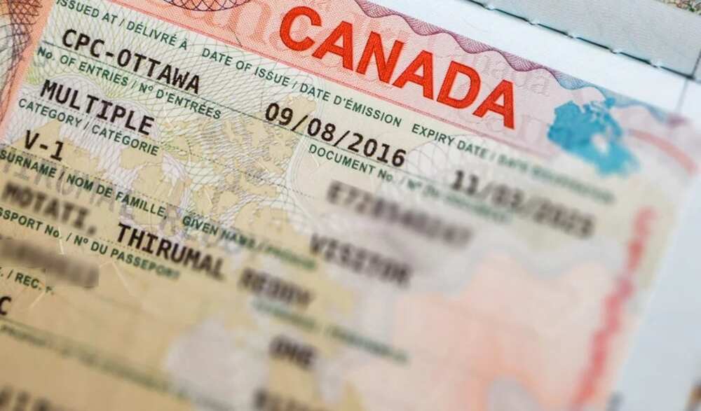 How Much Is Canadian Visa Fee In Kenya