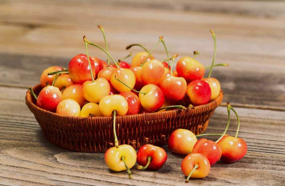 rainer cherries rainer cherries