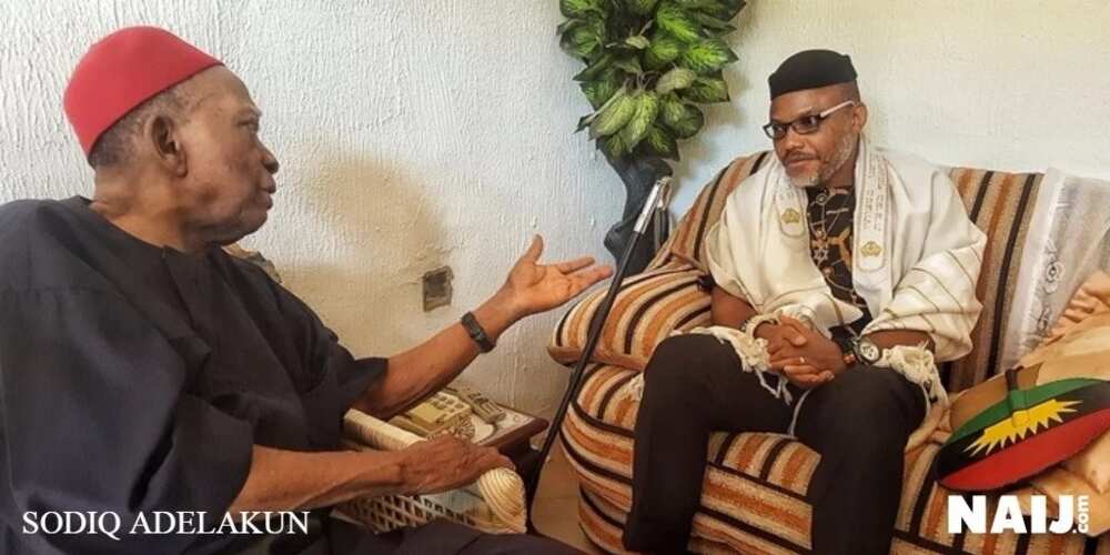 Biafra: Igbo elites have woken from their slumber - Nnamdi Kanu