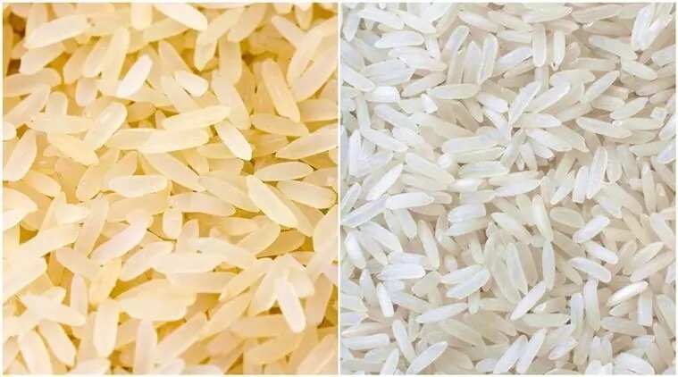 Plastic rice