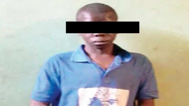 Teenager Kills Boy, 4 For Fresh Human Parts In Lagos