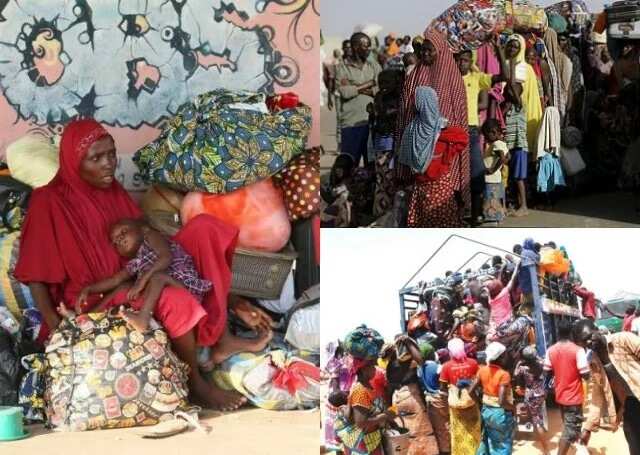 Cameroonian government deported 517 Nigerians, 313 asylum seekers included