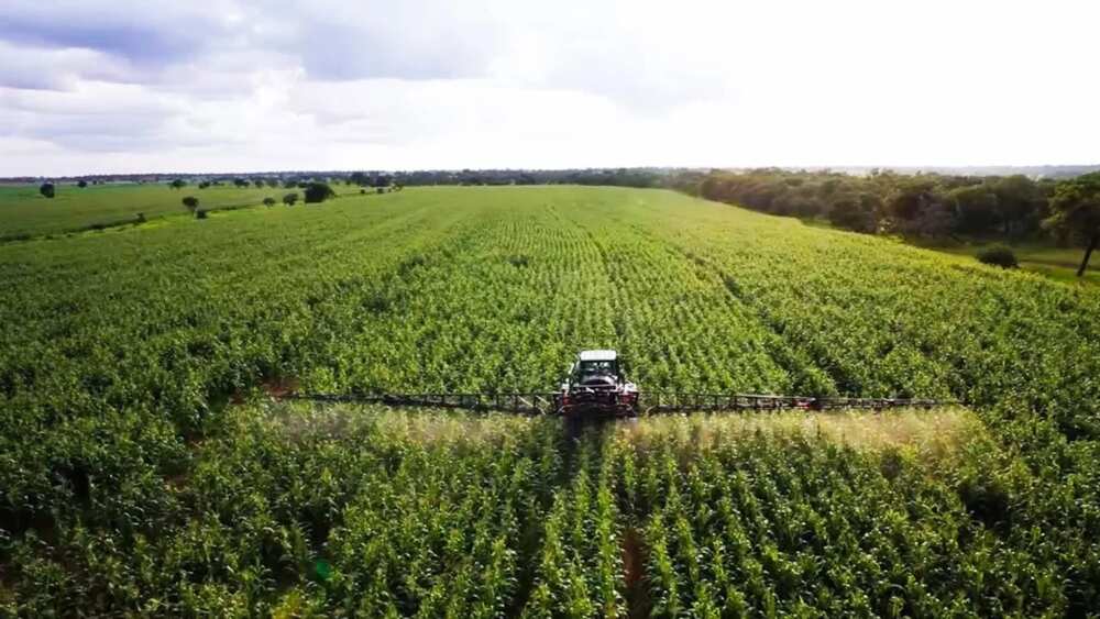 Types Of Land Tenure System In Nigeria