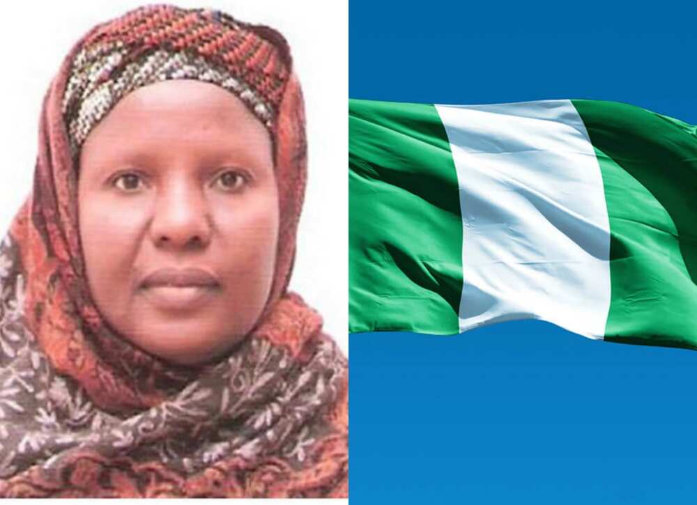 secretary to the federal government of Nigeria secretary to the federal government of Nigeria