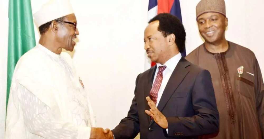Idan Buhari bai kakkabe baragurbin dake zagaye da shi ba ba zai tabuka komai ba Idan Buhari bai kakkabe baragurbin dake zagaye da shi ba ba zai tabuka komai ba