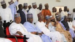 Why I rejoined APC - Former PDP chairman reveals as he reconciles with Governor Shettima (photos)