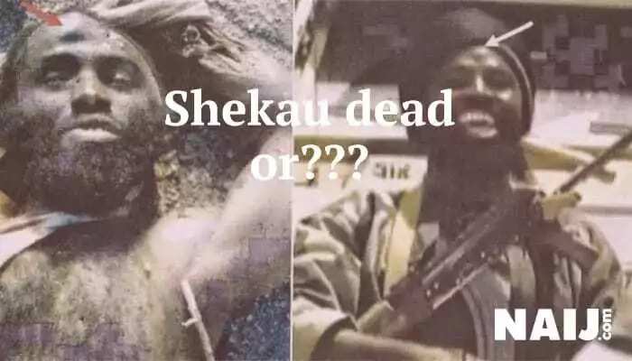 Shekau is dead - Nigerian Army