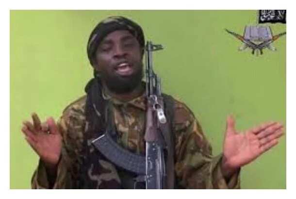 Boko Haram destroyed 900 churches