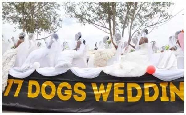 200 brides ride in a truck to their mass wedding in Uganda