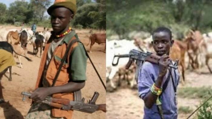 Tension in Benue as suspected herders attack three communities, kill many