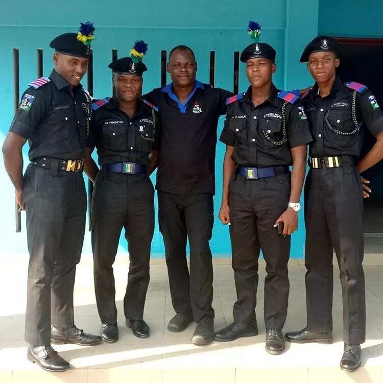 Police Academy Wudil Courses Offered Legit Ng