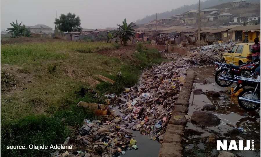 Environmental pollution in Nigeria: issues and solutions