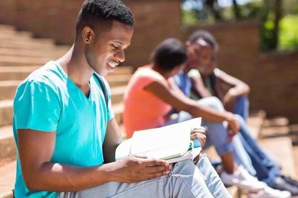 Colleges in Canada for international students without application fee -  Legit.ng