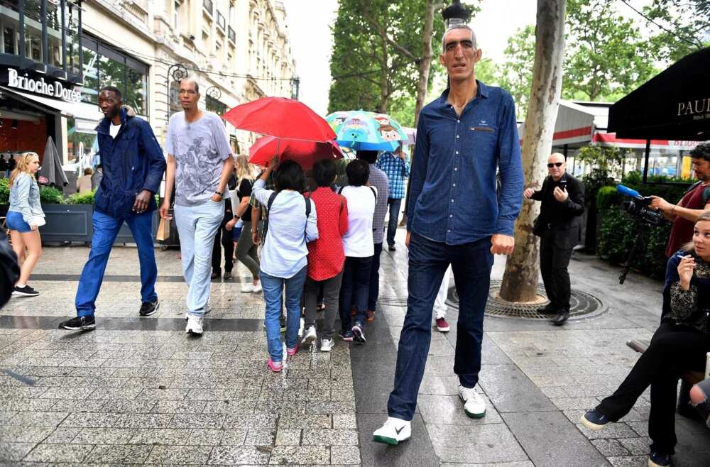 Dogo ba lamba: Mutanen da suka fi tsawo a Duniya su 12 sun shirya taro a kasar Faransa Dogo ba lamba: Mutanen da suka fi tsawo a Duniya su 12 sun shirya taro a kasar Faransa