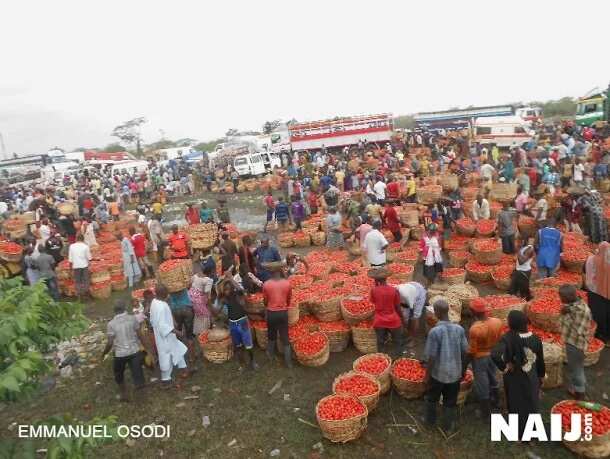 Hausa traders relocate to unhealthy location after crisis