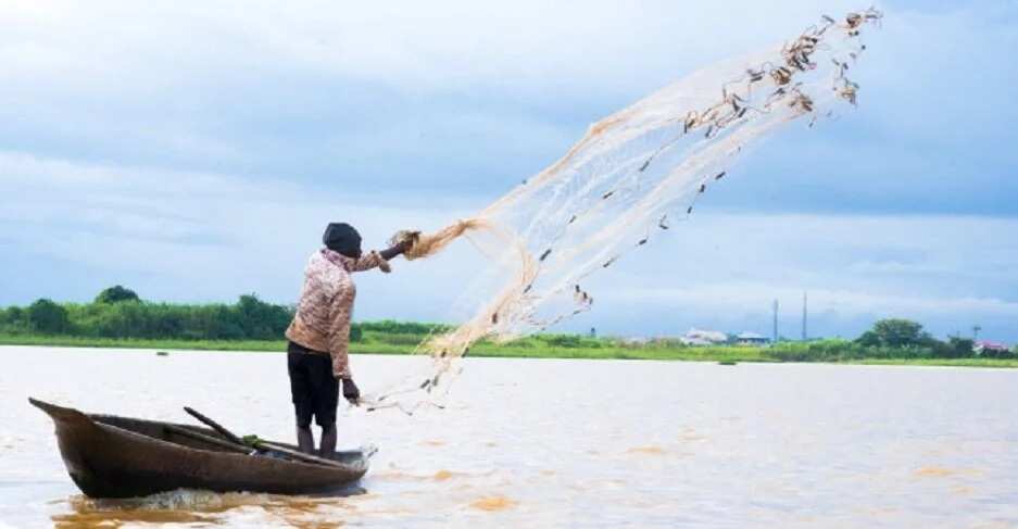 Fishing in Bayelsa