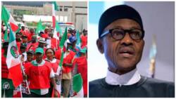 Nigerians can’t afford one meal a day, NLC tells Buhari