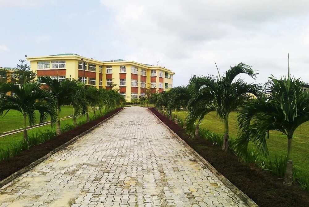 Greensprings School in Lagos Greensprings School in Lagos