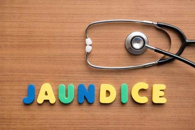 what causes jaundice in malaria