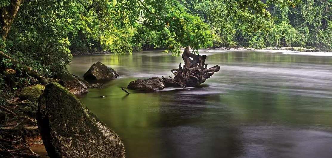 Crossing a river. Кросс Ривер Нигерия. Cross River National Park. Река кросс. Национальный парк Джентри.