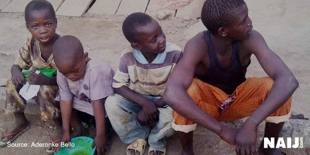 Almajiri: The plight of Nigerian foot soldiers