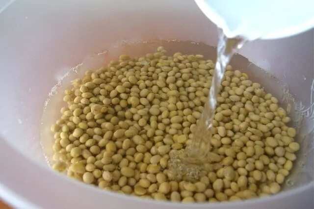 Preparing soya beans