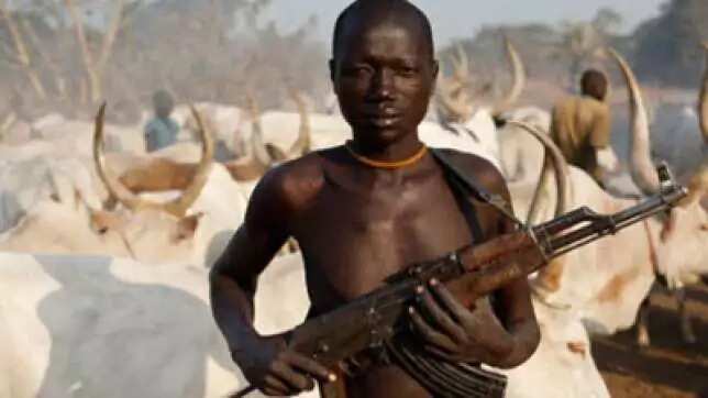 Analysis: The deadly influx of Fulani herdsmen in Nigeria
