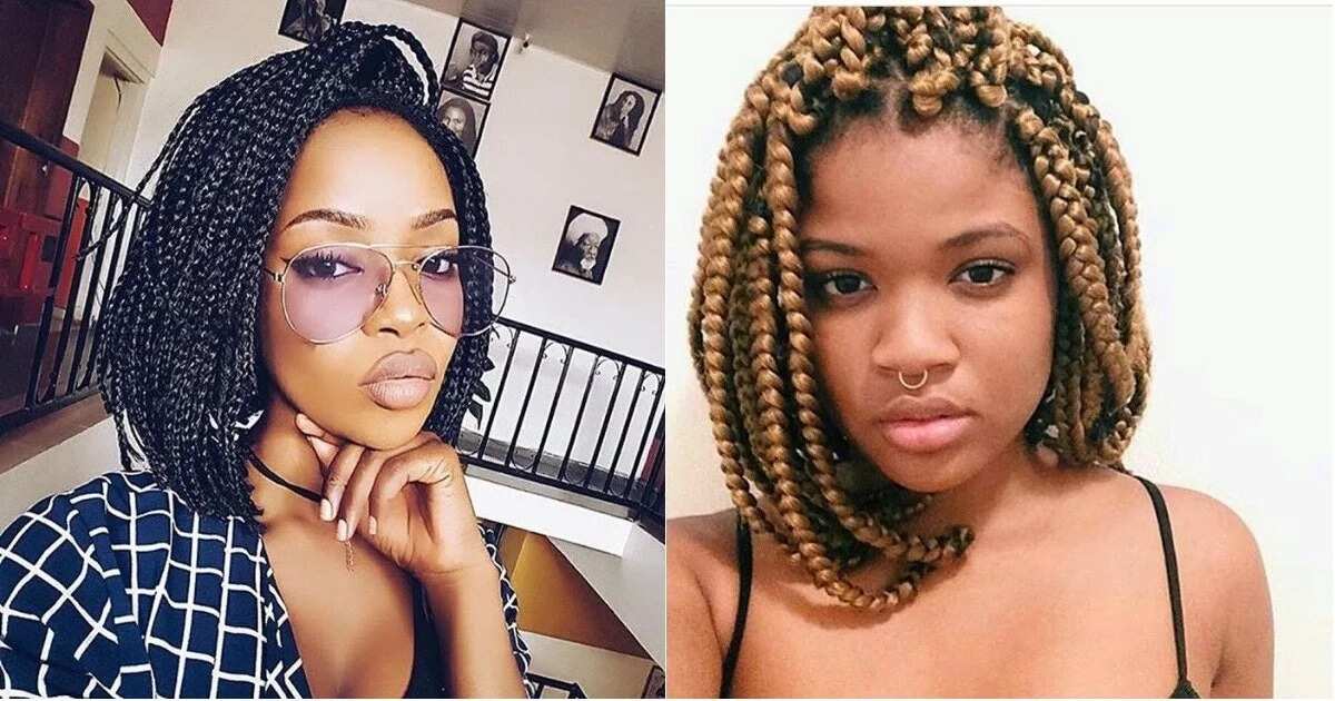 17 Beautiful Braided Bobs From Instagram That You Should Definitely Try |  Essence