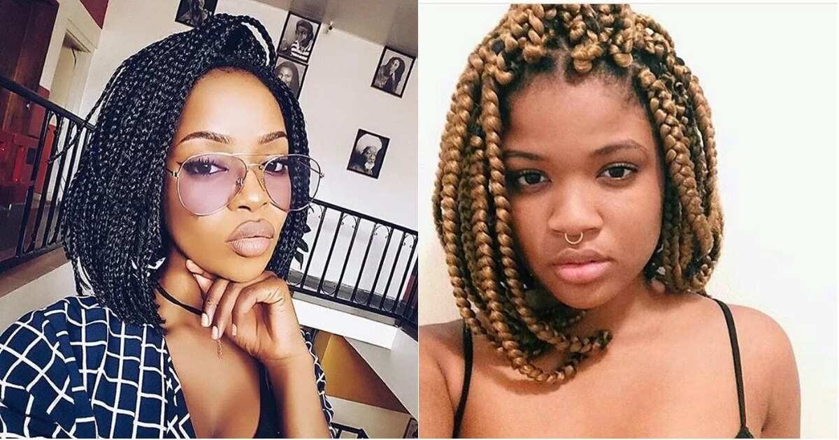 Top Short Bob Braids Hairstyles For 2018 Legit Ng