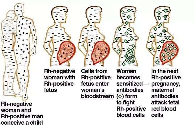 Blood Compatibility Chart For Marriage