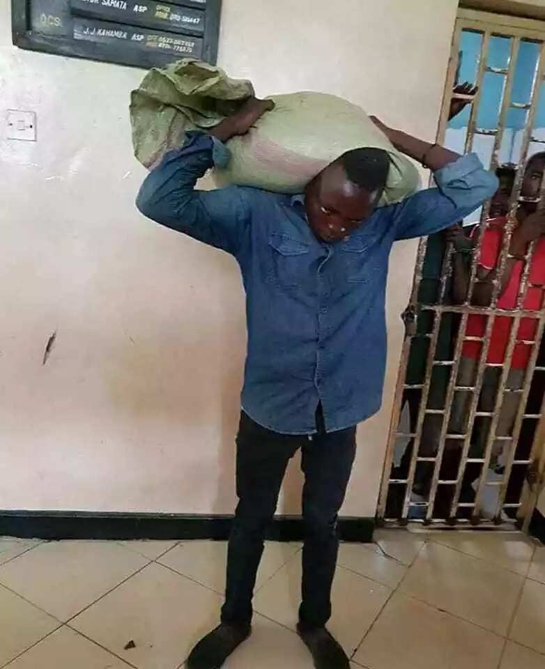 Thief surrenders to the police as stolen bags refuses to leave his head (photos, video)