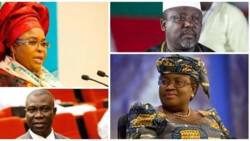 2019 presidency: South-east groups shortlist Patience‎ Jonathan, Ike Ekweremadu, 9 others for Igbo president (see full list)