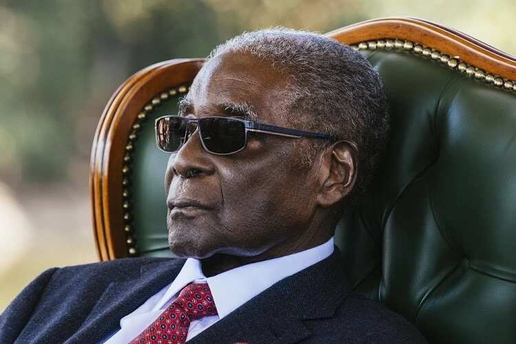 Mugabe and his story