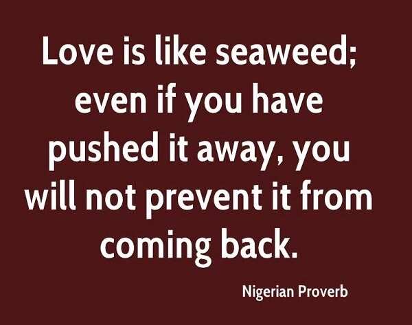 Top 15 Nigerian proverbs and their meanings