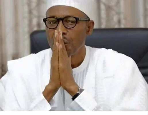 Stop arrest of Ijaw and Niger Delta youths – IYC to Buhari