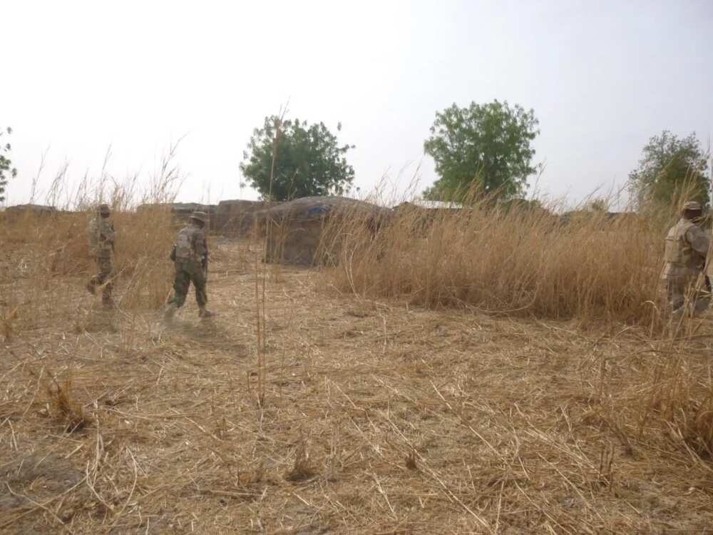 Troops, Military in Nigeria, ISWAP, Lake Chad region