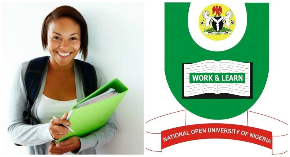 Undergraduate courses Undergraduate courses