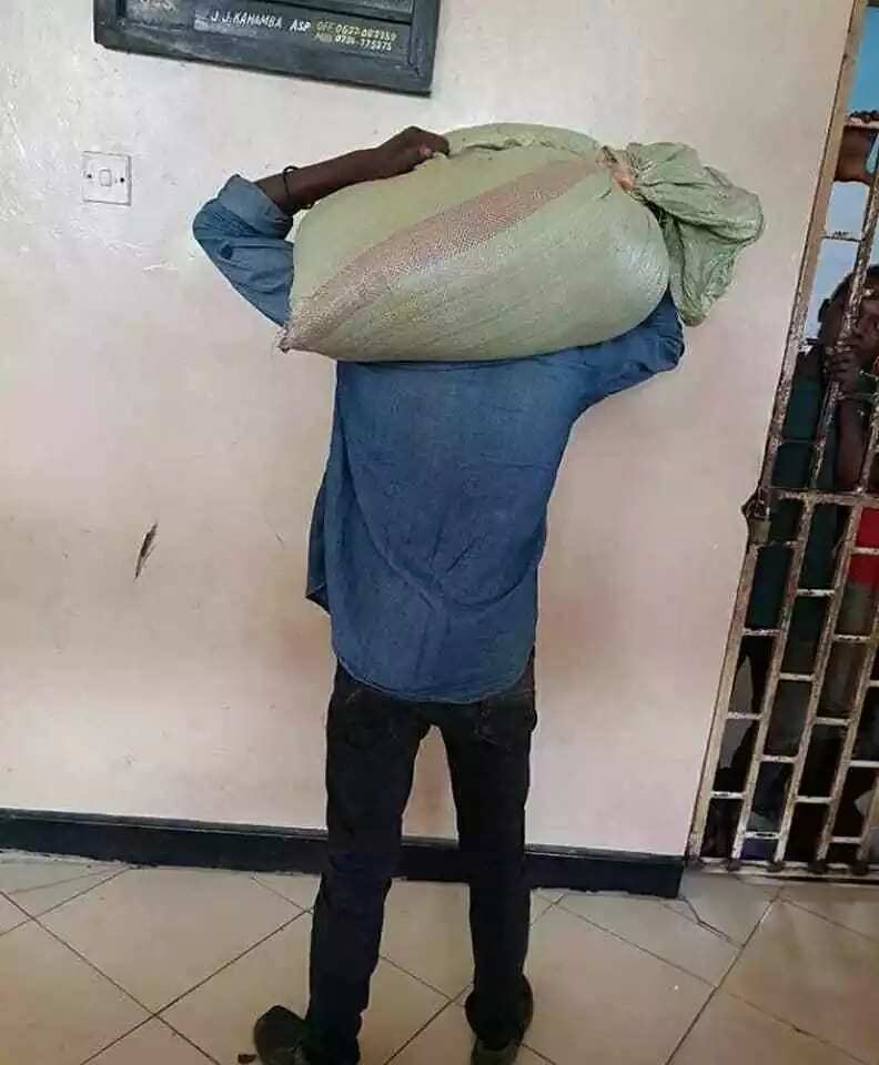 Thief surrenders to the police as stolen bags refuses to leave his head (photos, video)