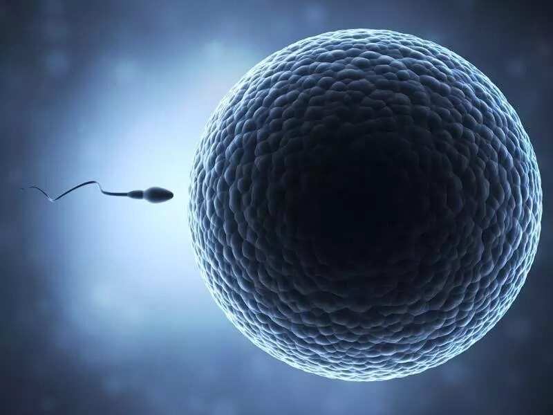 conception moment conception moment
