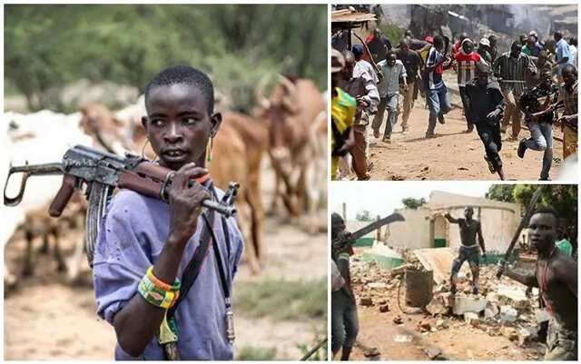 Fresh crisis between Fulani herdsmen and Benue farmers