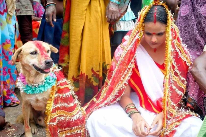 Top 10 most weird wedding traditions of the world