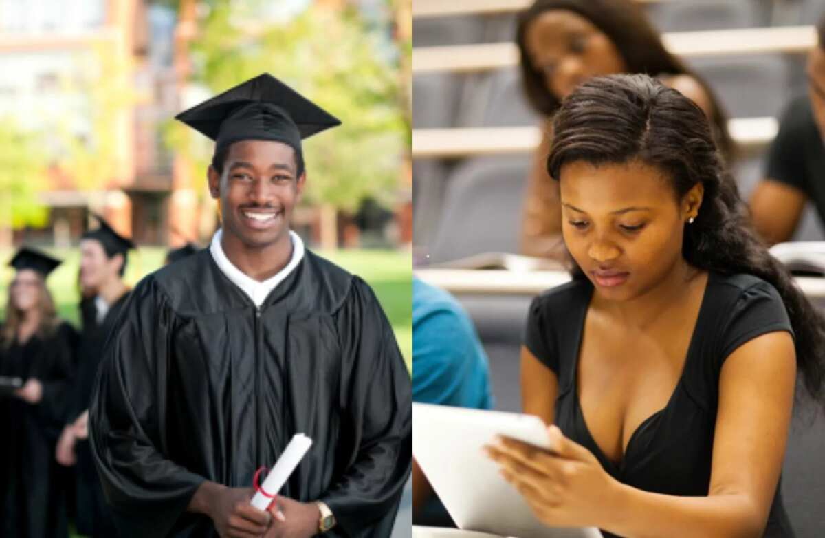 studymode advantages and disadvantages of western education