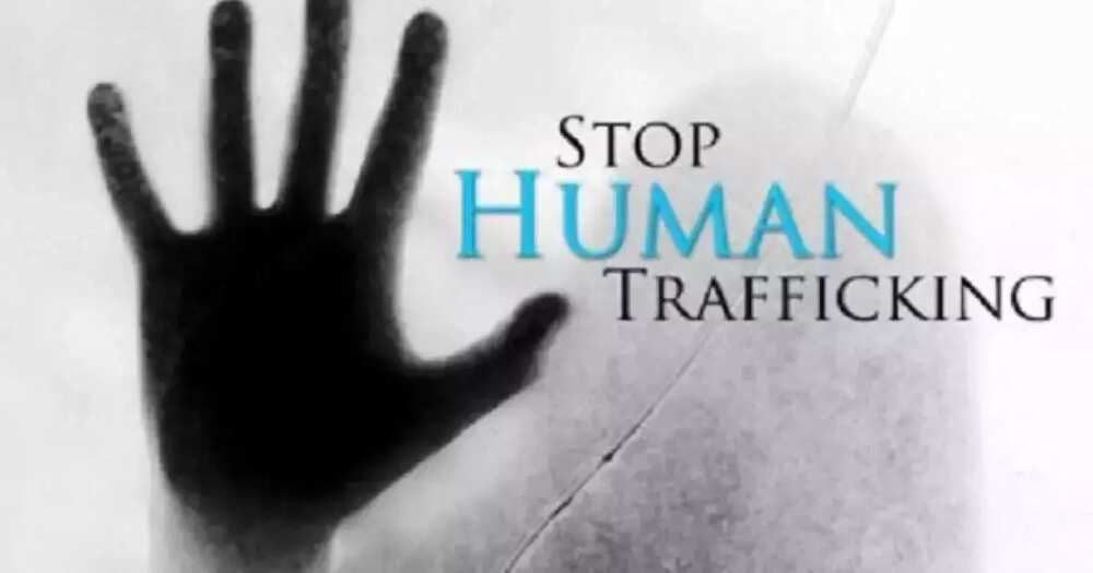 Stop human trafficking